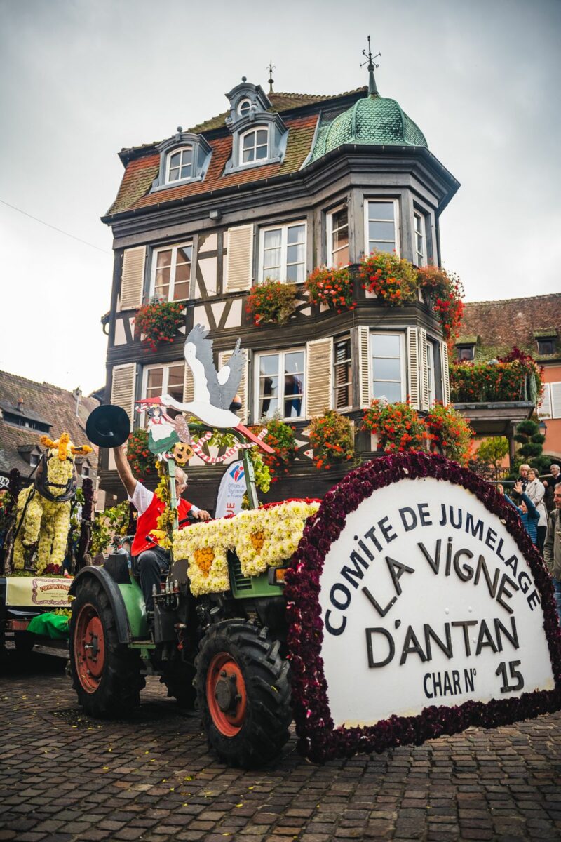 Char fleuri de dahlias
